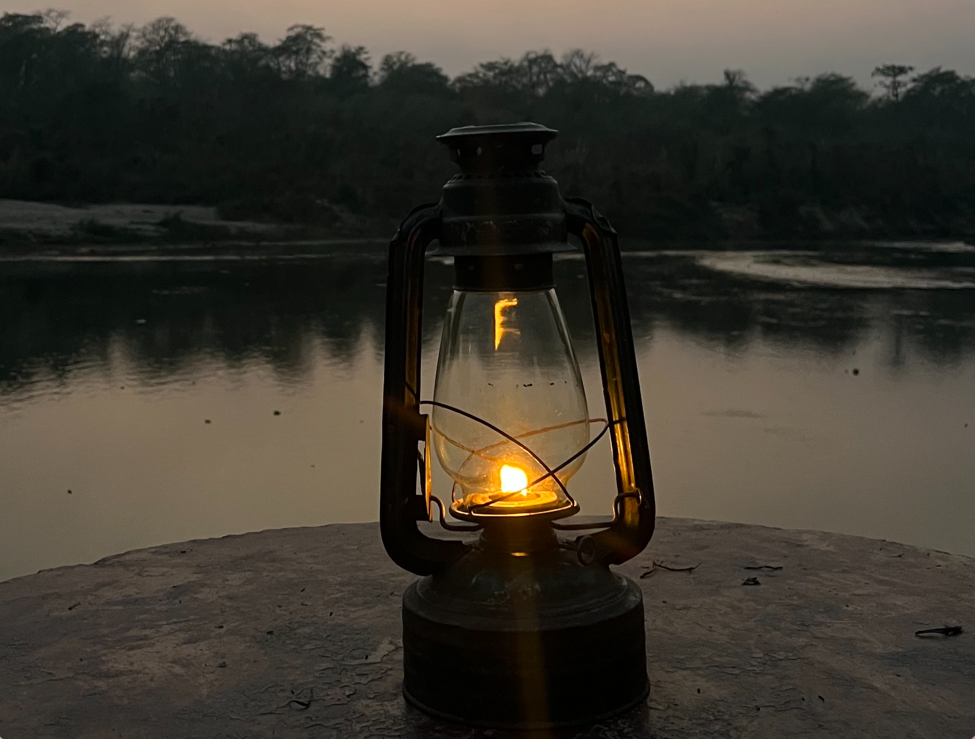 Chitwan Diaries: Where the Riverine Meets the Canopy